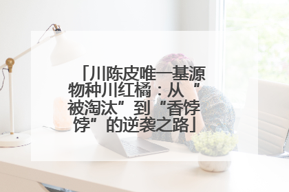川陈皮唯一基源物种川红橘：从“被淘汰”到“香饽饽”的逆袭之路