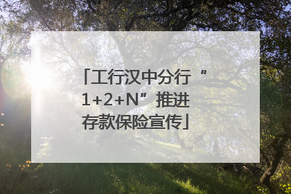工行汉中分行“1+2+N”推进存款保险宣传