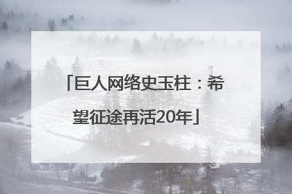 巨人网络史玉柱：希望征途再活20年