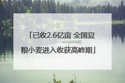 已收2.6亿亩 全国夏粮小麦进入收获高峰期