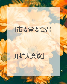 市委常委会召开扩大会议