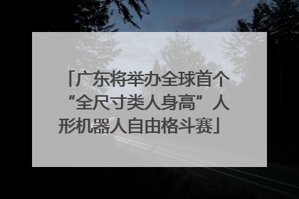 广东将举办全球首个“全尺寸类人身高”人形机器人自由格斗赛