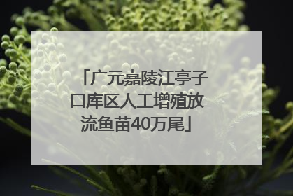 广元嘉陵江亭子口库区人工增殖放流鱼苗40万尾