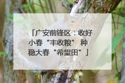 广安前锋区：收好小春“丰收粮” 种稳大春“希望田”