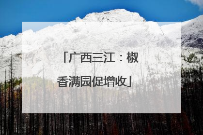 广西三江：椒香满园促增收