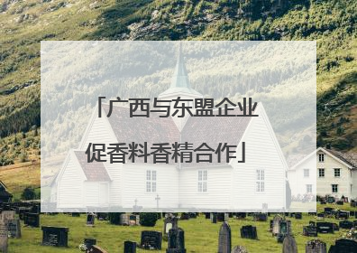 广西与东盟企业促香料香精合作