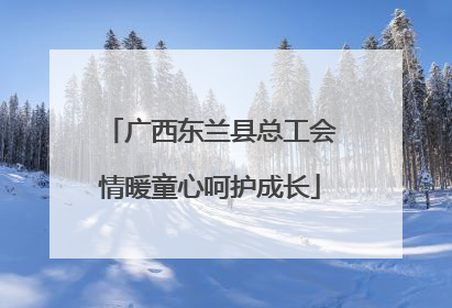 广西东兰县总工会情暖童心呵护成长
