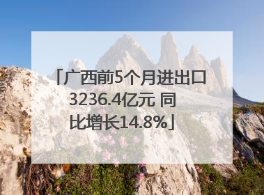 广西前5个月进出口3236.4亿元 同比增长14.8%