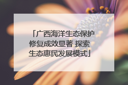 广西海洋生态保护修复成效显著 探索生态惠民发展模式