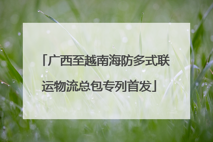 广西至越南海防多式联运物流总包专列首发