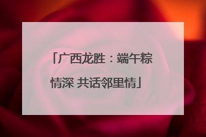 广西龙胜：端午粽情深 共话邻里情
