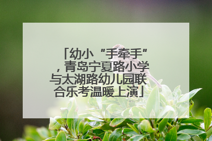 幼小“手牵手”，青岛宁夏路小学与太湖路幼儿园联合乐考温暖上演