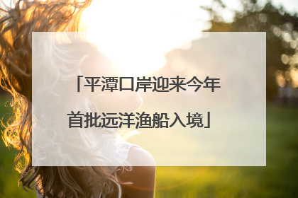 平潭口岸迎来今年首批远洋渔船入境