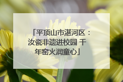 平顶山市湛河区：汝瓷非遗进校园 千年窑火润童心