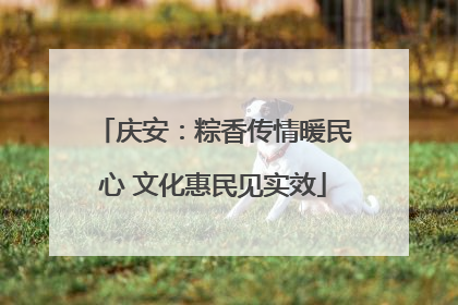 庆安：粽香传情暖民心 文化惠民见实效