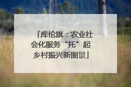 库伦旗：农业社会化服务“托”起乡村振兴新图景