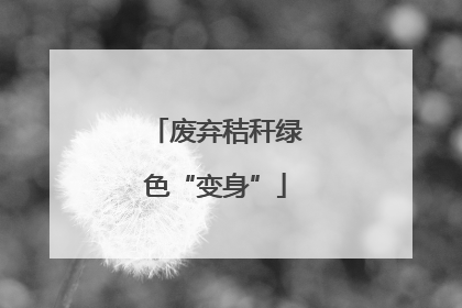 废弃秸秆绿色“变身”