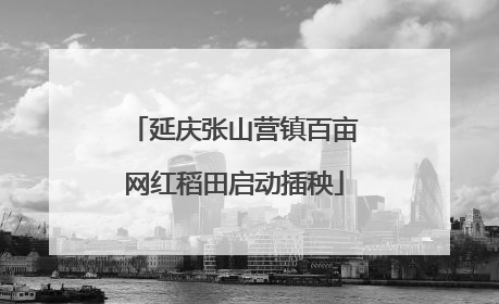 延庆张山营镇百亩网红稻田启动插秧
