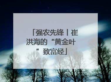 强农先锋丨崔洪海的“黄金叶”致富经