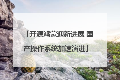 开源鸿蒙迎新进展 国产操作系统加速演进