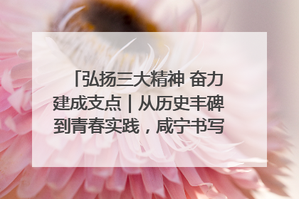 弘扬三大精神 奋力建成支点｜从历史丰碑到青春实践，咸宁书写精神传承新篇章