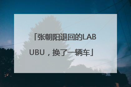 张朝阳退回的LABUBU，换了一辆车