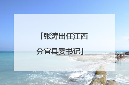 张涛出任江西分宜县委书记