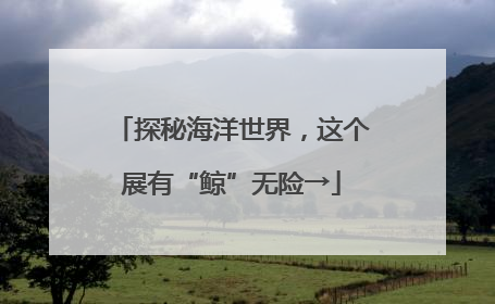 探秘海洋世界，这个展有“鲸”无险→