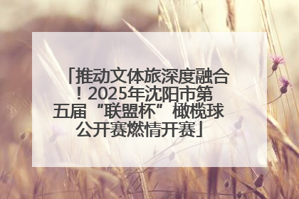 推动文体旅深度融合！2025年沈阳市第五届“联盟杯”橄榄球公开赛燃情开赛