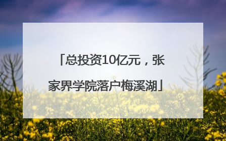 总投资10亿元，张家界学院落户梅溪湖