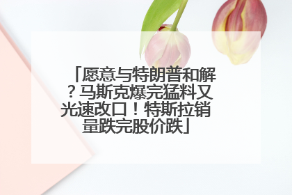 愿意与特朗普和解？马斯克爆完猛料又光速改口！特斯拉销量跌完股价跌