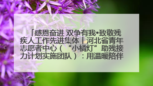 感恩奋进 双争有我•致敬残疾人工作先进集体丨河北省青年志愿者中心（“小橘灯”助残接力计划实施团队）：用温暖陪伴，守护特殊孩子成长