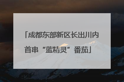 成都东部新区长出川内首串“蓝精灵”番茄