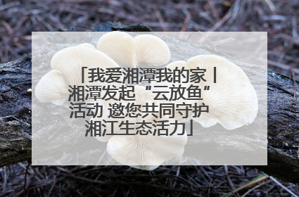 我爱湘潭我的家丨湘潭发起“云放鱼”活动 邀您共同守护湘江生态活力