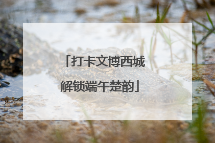 打卡文博西城 解锁端午楚韵