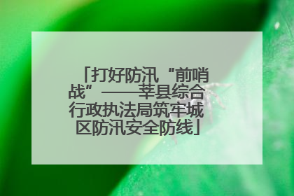 打好防汛“前哨战”——莘县综合行政执法局筑牢城区防汛安全防线