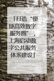 打造“便捷高效数字服务圈”，上海启动数字公共服务体系建设