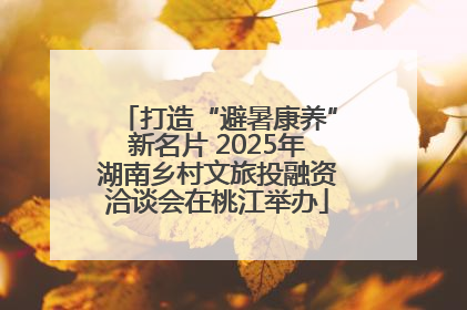 打造“避暑康养”新名片 2025年湖南乡村文旅投融资洽谈会在桃江举办