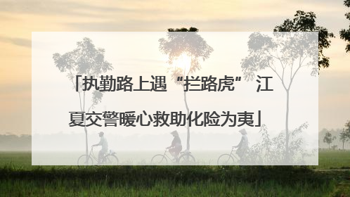 执勤路上遇“拦路虎” 江夏交警暖心救助化险为夷