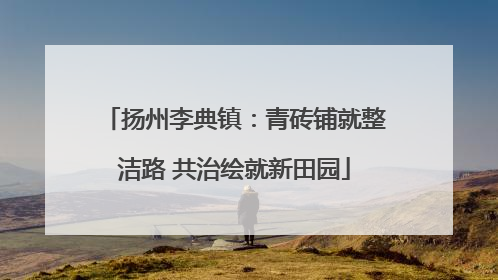 扬州李典镇：青砖铺就整洁路 共治绘就新田园