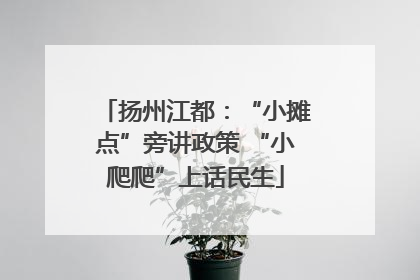 扬州江都：“小摊点”旁讲政策 “小爬爬”上话民生