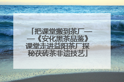 把课堂搬到茶厂——《安化黑茶品鉴》课堂走进益阳茶厂探秘茯砖茶非遗技艺