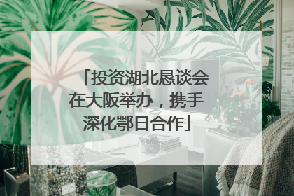 投资湖北恳谈会在大阪举办，携手深化鄂日合作