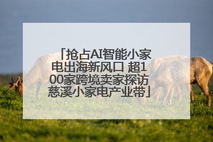 抢占AI智能小家电出海新风口 超100家跨境卖家探访慈溪小家电产业带