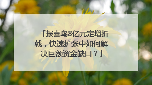 报喜鸟8亿元定增折戟，快速扩张中如何解决巨额资金缺口？