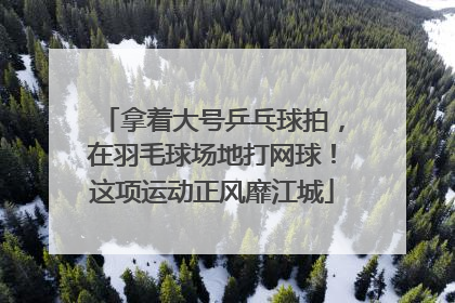 拿着大号乒乓球拍，在羽毛球场地打网球！这项运动正风靡江城