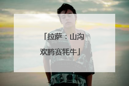 拉萨：山沟欢腾赛牦牛
