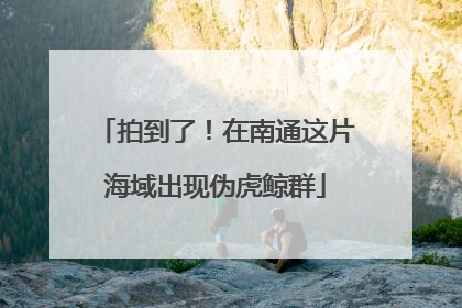 拍到了！在南通这片海域出现伪虎鲸群