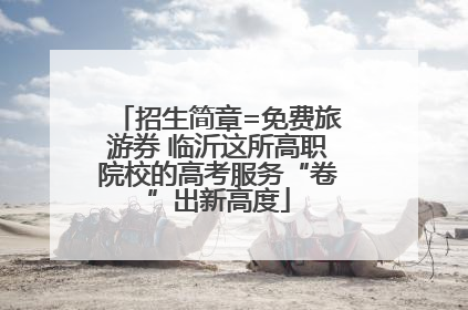 招生简章=免费旅游券 临沂这所高职院校的高考服务“卷”出新高度