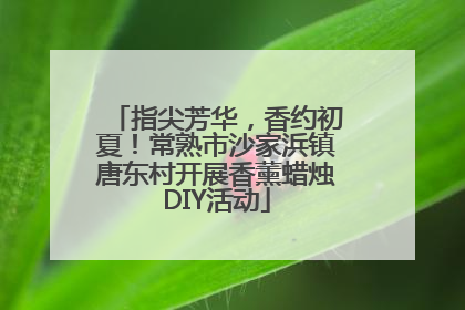 指尖芳华，香约初夏！常熟市沙家浜镇唐东村开展香薰蜡烛DIY活动